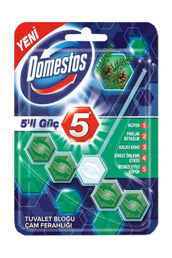 Wc Blok 5Li Güç Çam Ferahlığı 55 G