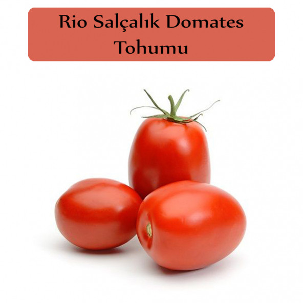 Domates Tohumu Rio Grande 1 Paket Rio Grande Domates Tohumu Kapalı Paket Yüksek Verimli Tohum