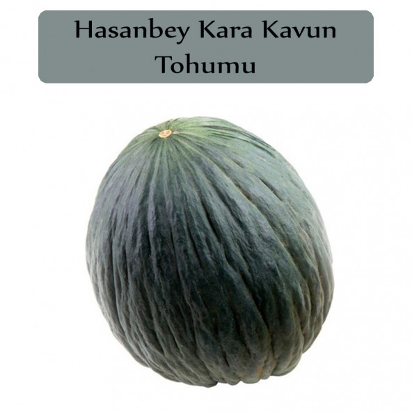 Hasanbey Kavun Tohumu 1 Paket Kara Kavun Kapalı Paket Yüksek Verimli Tohum Karakavun ürün görseli