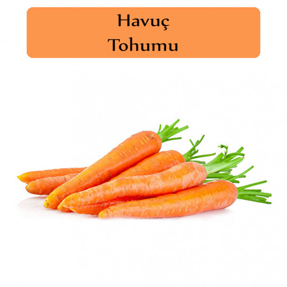 Havuç Tohumu 1 Paket Nantes Havuç Tohumu Kapalı Paket Yüksek Verimli Tohum Carrot