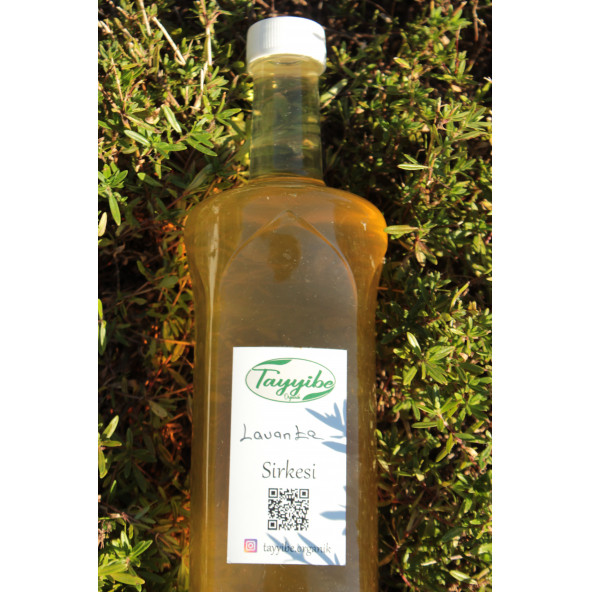 Lavanta Sirkesi 500ml