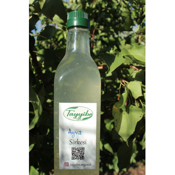 Ayva Sirkesi 500ml