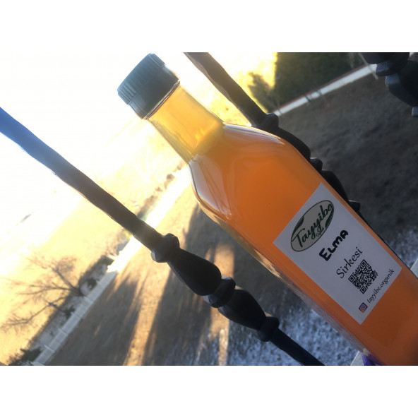 Elma Sirkesi 500ml
