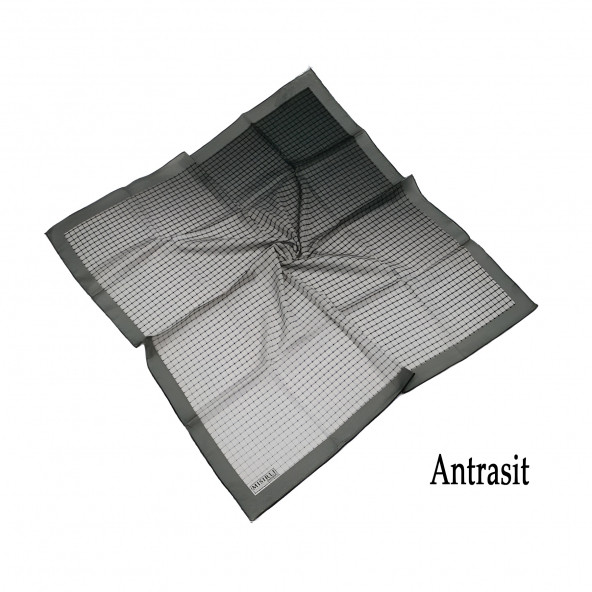 Mısırlı Eşarpları Silky Cocoon Eşarp V215 - 2