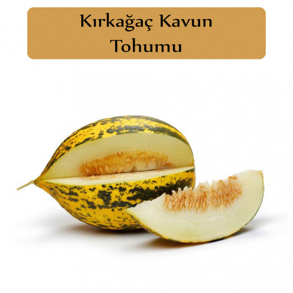 Kırkağaç Kavun Tohumu 1 Paket Kırk Ağaç Kavun Tohumu Kapalı Paket Yüksek Verimli Tohum Sarı Kavun