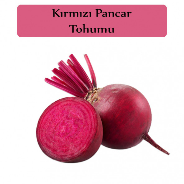 Kırmızı Pancar Tohumu 1 Paket Pancar Tohumu Kapalı Paket Yüksek Verimli Tohum