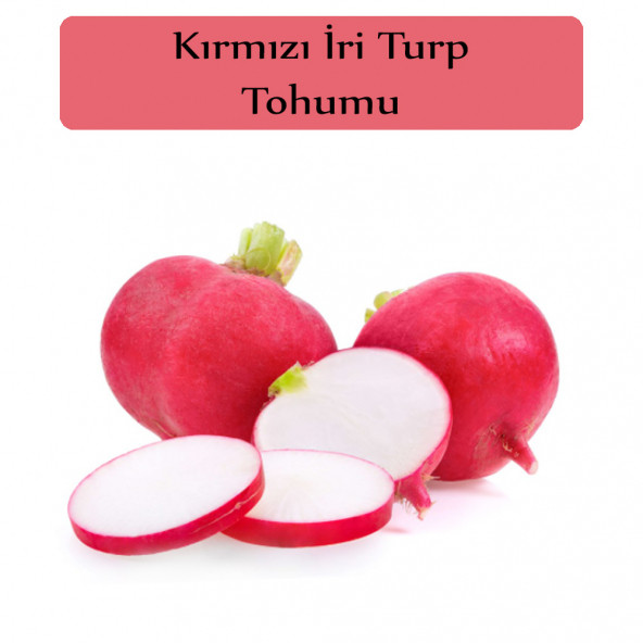 Kırmızı Turp Tohumu 1 Paket Kırmızı Iri Turp Tohumu Erkenci Ege Kapalı Paket Yüksek Verimli Tohum