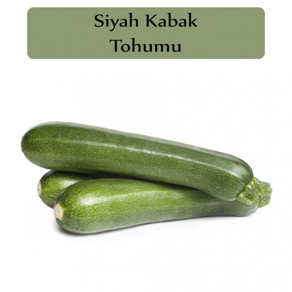 Siyah Kabak Tohumu 1 Paket Kabak Tohumu Siyah Kapalı Paket Yüksek Verimli Tohum