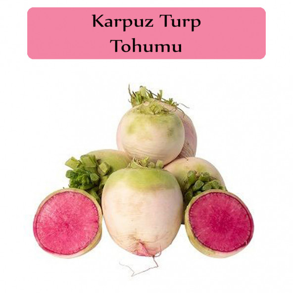 Turp Tohumu 1 Paket Karpuz Turp Tohumu Kapalı Paket Yüksek Verimli Tohum