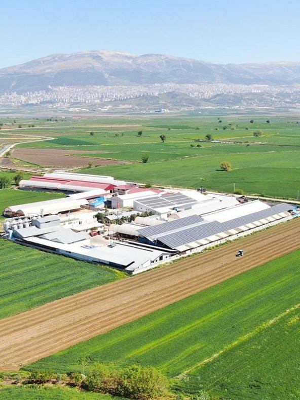 Çorbalık Tarhana 500 Gr - 3