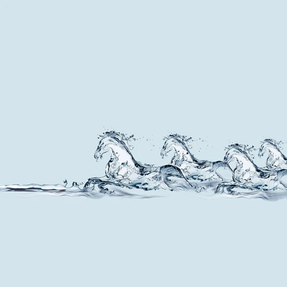 Baskılı Fon Perde Bir Grup At Görseli Su Etkili Desenli - Resim 6