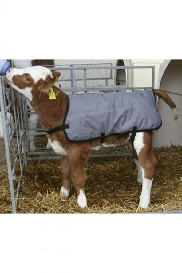 Buzağı Battaniyesi 80 Cm ürün görseli 1