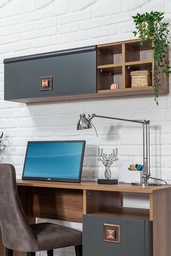 SANDALİE Retro 50x110 Cm Çalışma Masası + Duvar Raf Bilgisayar Masası Ofis Ders Masası Ceviz - 2