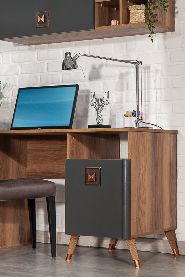 SANDALİE Retro 50x110 Cm Çalışma Masası + Duvar Raf Bilgisayar Masası Ofis Ders Masası Ceviz - 3