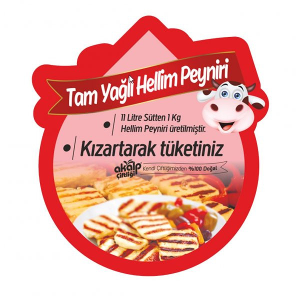 Tam Yağlı Hellim Peyniri 500 Gr - 3