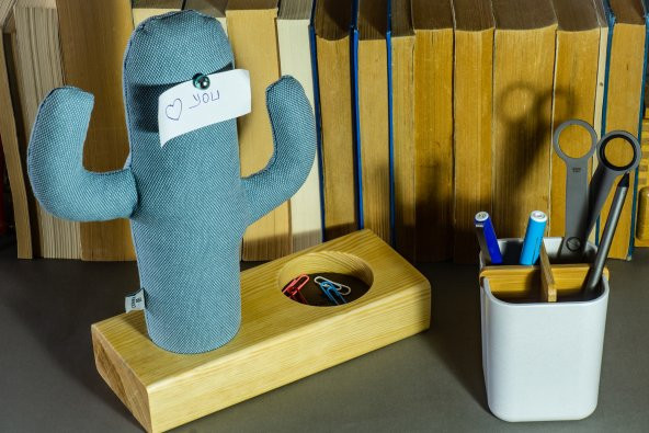 Kayigo Cactus XL + Station Organizer Mavi - 3