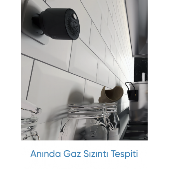 Akıllı Gaz Alarm Cihazı - 2