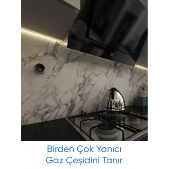 Akıllı Gaz Alarm Cihazı - 4