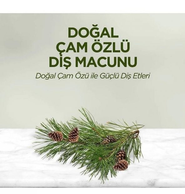 Eyüp Sabri Tuncer Diş Macunu Doğal Çam Özlü 90ml - 3