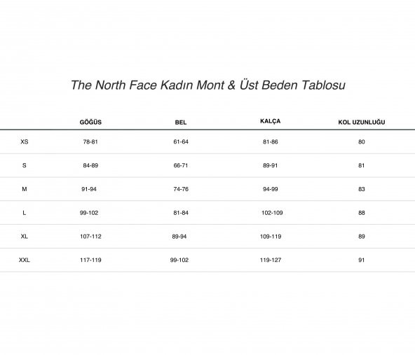 The North Face Quest Kadın Yağmurluk Mont Mavi - 3