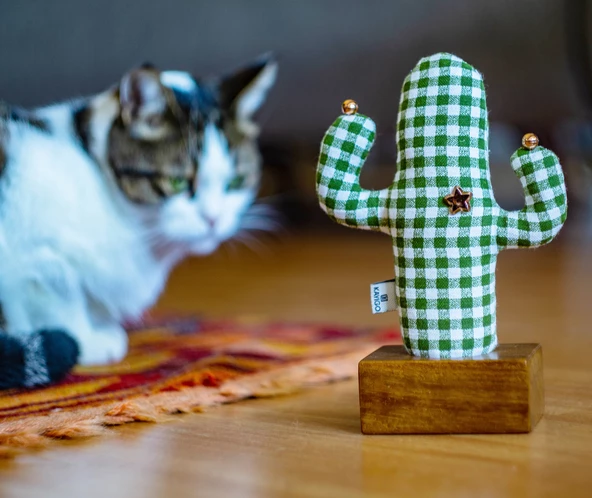 Kayıgo Cactus Lavanta Dolgulu Notluk - Yeşil Pötikare - 4