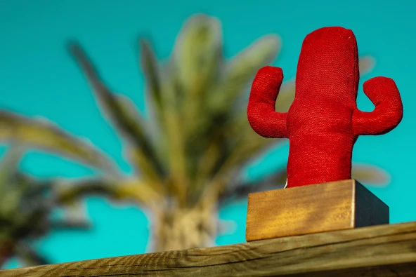 Kayıgo Cactus Lavanta Dolgulu Notluk - Resim 2