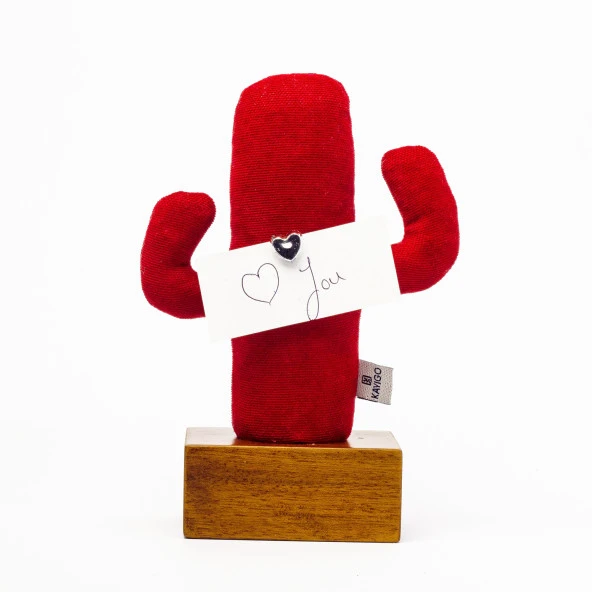 Kayıgo Cactus Lavanta Dolgulu Notluk - Resim 4