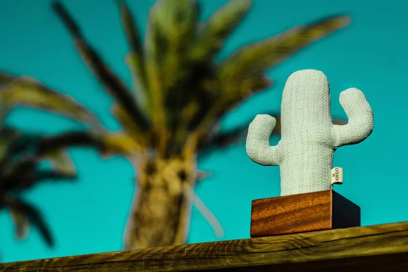 Kayıgo Cactus Lavanta Dolgulu Notluk - Resim 2