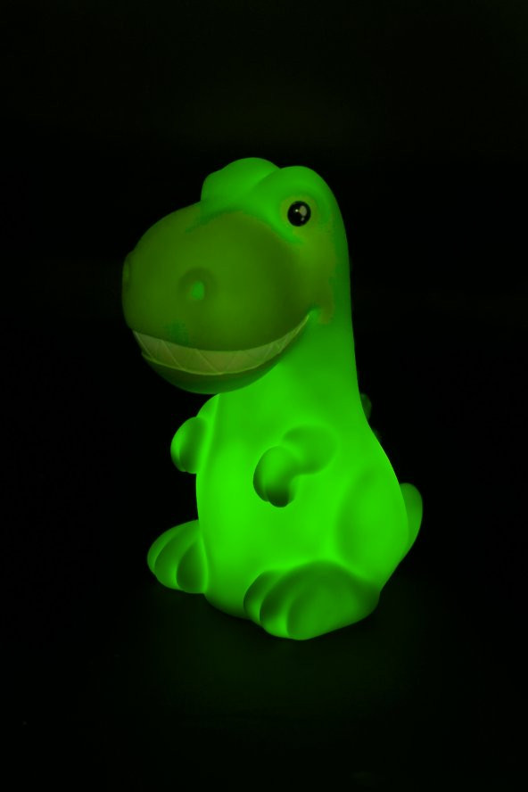 Dhink Yeni Dino Gece Lambası - 4