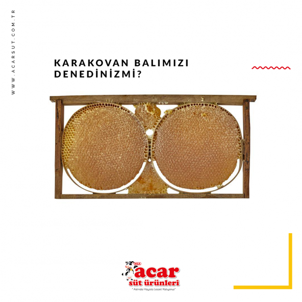 Kara Kovan Bal 3 Kg.