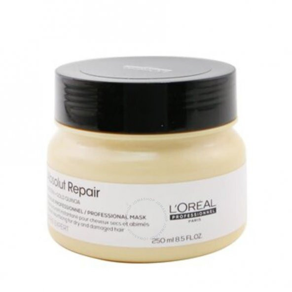 LOreal Serie Expert Absolut Repair Resurfacing Professional Mask 250ml