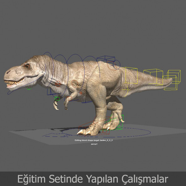 Maya 2020 Animasyon Video Ders Eğitim Seti - 4