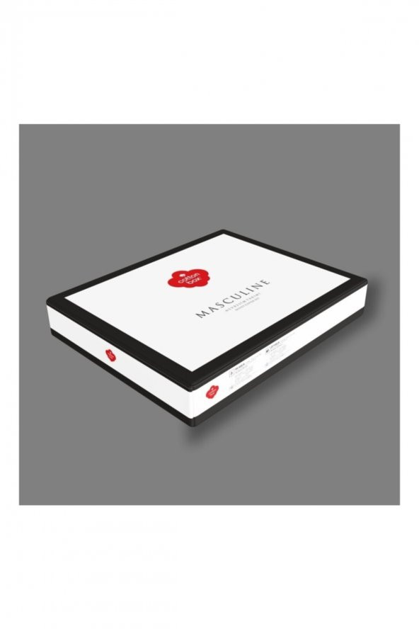 Leonardo - Gri Masculine Çift Kişilik Nevresim Takımı - 3