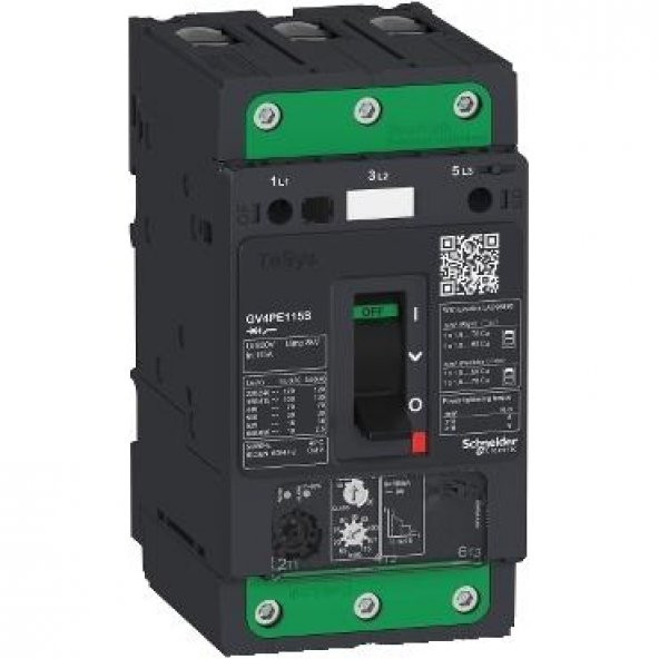 Schneider Electric GV4PE80N, Motor Koruma Şalteri,TeSys GV4, 3P, 80A, Icu 50kA ,termal manyetik, vida kelepçesi terminalleri