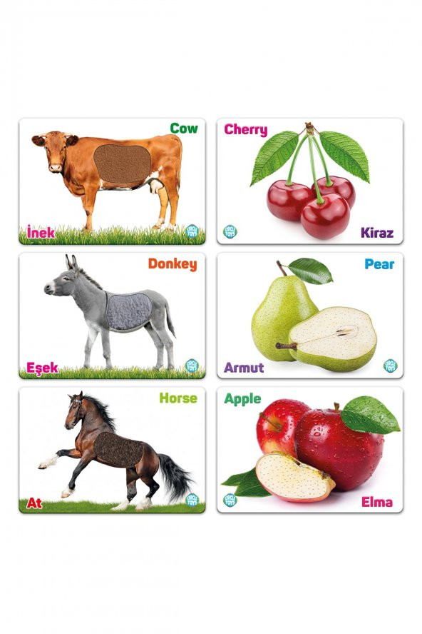 Ilk Dokun Hisset Kartlarım Çiftlik Hayvanları Ve Meyveler (9kart18görsel) Doku Elementli - 5