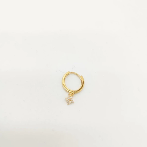 Altın Renk Halka Model Parlak Taşlı Erkek Küpe