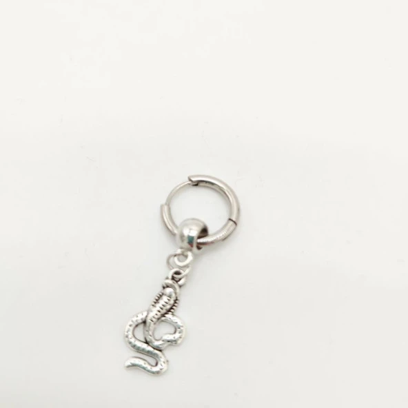 Yılan Model Erkek Küpe - 2