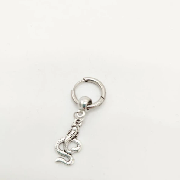 Yılan Model Erkek Küpe - 11