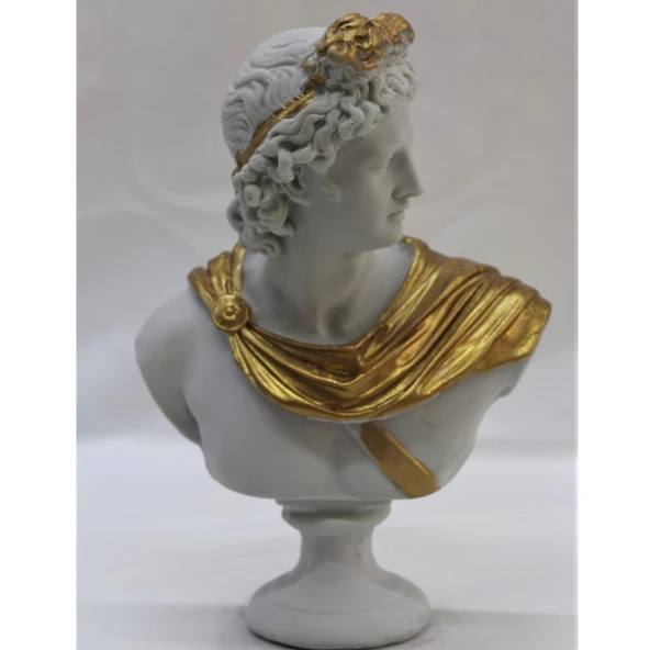 APOLLON-HK102-1 - Resim 2