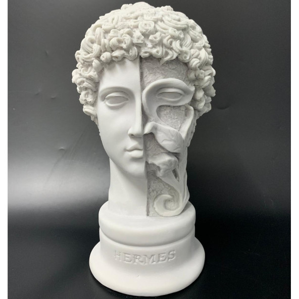 HERMES-HK108-4 - Resim 2