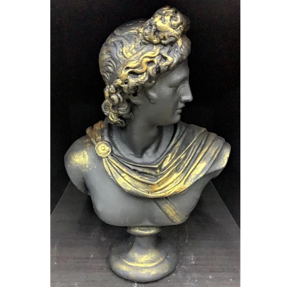 APOLLON-HK102-5 - 2