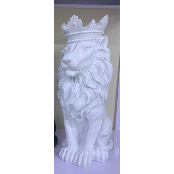 ASLAN-HF103-9 - Resim 2