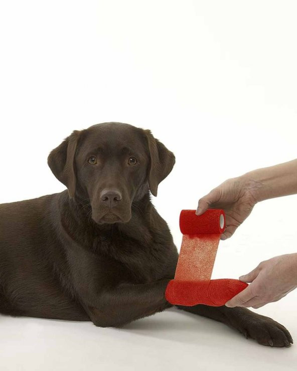 Yapışkanlı Bandaj 10 cm x 4.5 M - Kırmızı - 2