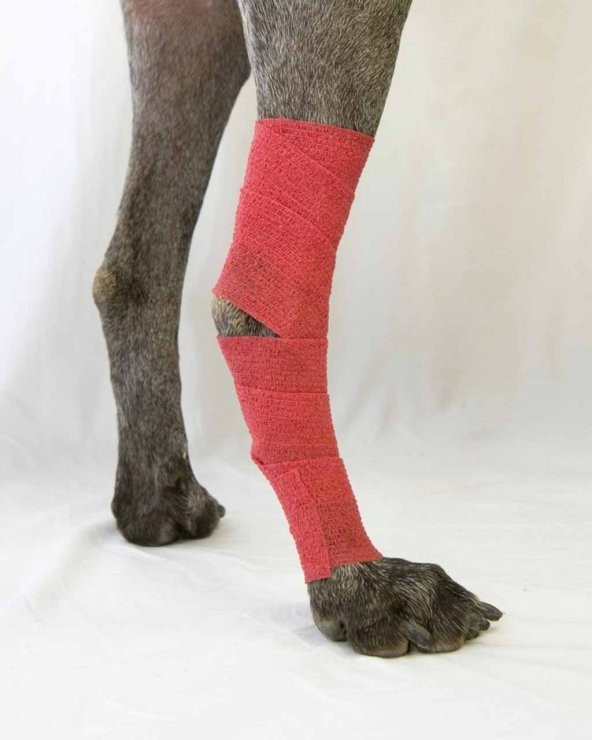 Yapışkanlı Bandaj 10 cm x 4.5 M - Kırmızı - 3