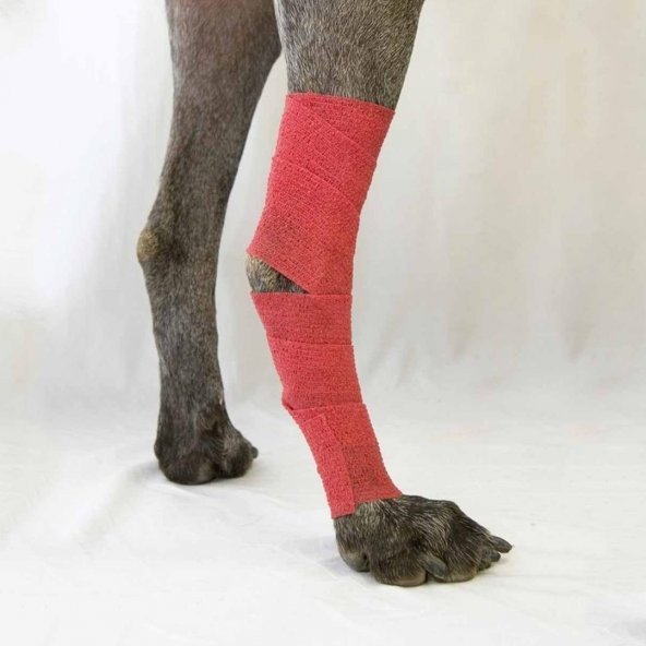 Yapışkanlı Bandaj 10 cm x 4.5 M - Kırmızı - 4