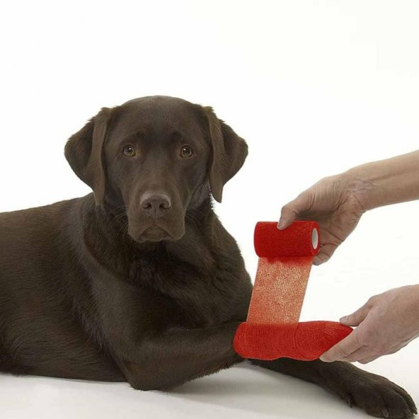 Yapışkanlı Bandaj 10 cm x 4.5 M - Kırmızı - 5