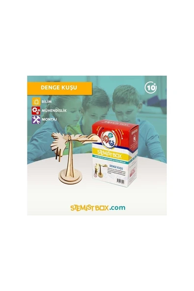 Fapatech Stemist Box Denge Kuşu Ahşap Stem Eğitim Seti - Resim 2