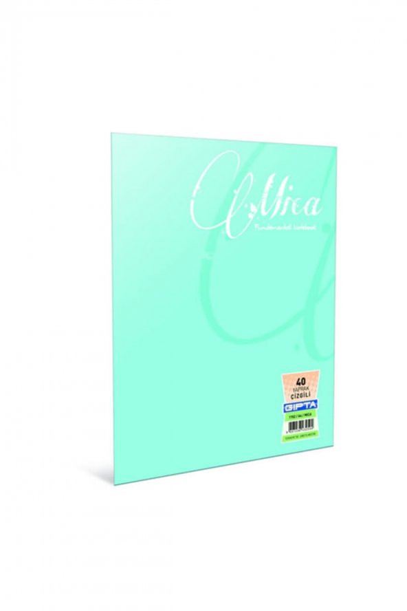 Gıpta Mıca A4 100 Yaprak Çizgili Tel Dikişli Defter - 1