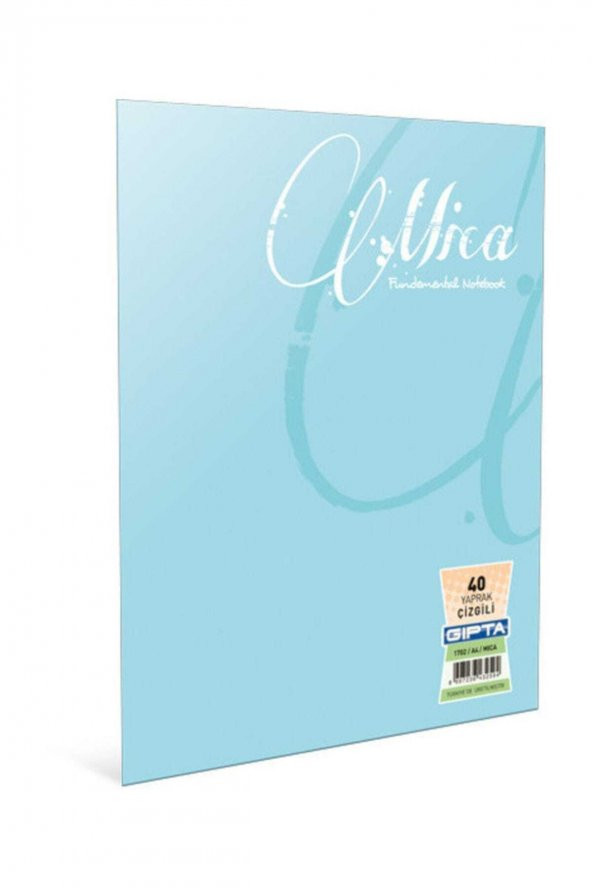 Gıpta 60 Yaprak A5 Mica Tel Dikiş Plastik Kapak Kareli Defter 1712 - 1