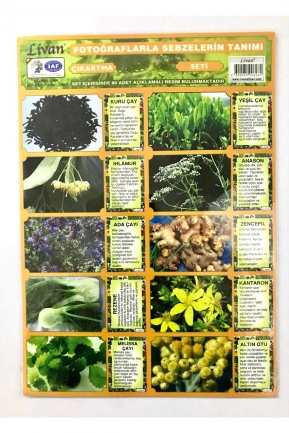 Livan Fotoğraflarla Sebzeleri Tanıyalım Çıkartma Seti ürün görseli